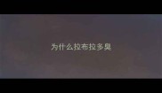 为什么拉布拉多臭
