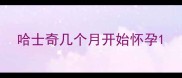 哈士奇几个月开始怀孕
