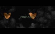 萨摩耶几个月出生