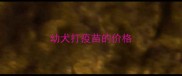 幼犬打疫苗的价格