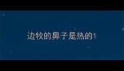 边牧的鼻子是热的