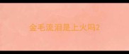 金毛流泪是上火吗