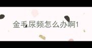 金毛尿频怎么办啊