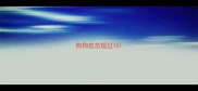 狗狗疫苗超过10
