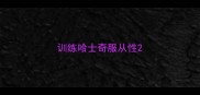 训练哈士奇服从性