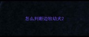 怎么判断边牧幼犬