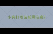 小狗打疫苗前需注意