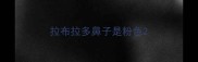 拉布拉多鼻子是粉色