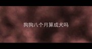 狗狗八个月算成犬吗