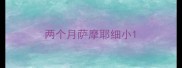 两个月萨摩耶细小