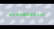 哈士奇幼崽感冒怎么办