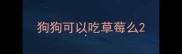 狗狗可以吃草莓么