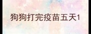 狗狗打完疫苗五天
