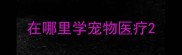 在哪里学宠物医疗
