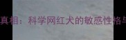 哈士奇胆小真相科学网红犬的敏感性格与饲养指南