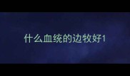 什么血统的边牧好