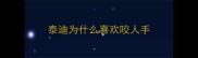 泰迪为什么喜欢咬人手