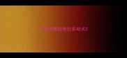 南京出售拉布拉多幼犬