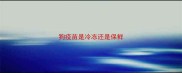 狗疫苗是冷冻还是保鲜