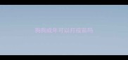 狗狗成年可以打疫苗吗