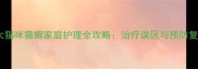 两个月大猫咪猫癣家庭护理全攻略治疗误区与预防复发指南