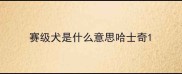 赛级犬是什么意思哈士奇