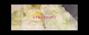 哈士奇能不能吃包子