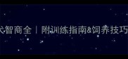 拉布拉多成年犬智商全附训练指南饲养技巧附对比图