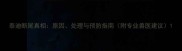 泰迪断尾真相原因处理与预防指南附专业兽医建议