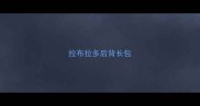 拉布拉多后背长包