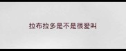 拉布拉多是不是很爱叫