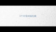 5个月雪纳瑞拉稀