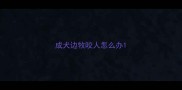成犬边牧咬人怎么办