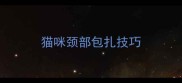 猫咪颈部包扎技巧