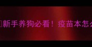 幼犬疫苗本记录表模板新手养狗必看疫苗本怎么写记录时间表注意事项