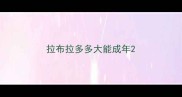 拉布拉多多大能成年
