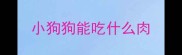 小狗狗能吃什么肉