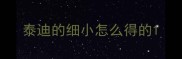 泰迪的细小怎么得的