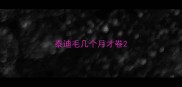 泰迪毛几个月才卷