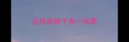 边牧后脖子有一块黑