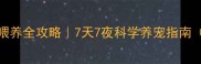 泰迪幼犬45天喂养全攻略7天7夜科学养宠指南附喂食时间表