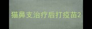 猫鼻支治疗后打疫苗