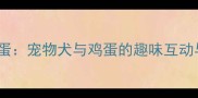 哈士奇VS鸡蛋宠物犬与鸡蛋的趣味互动与科学真相