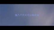 猫几个月大可以做绝育