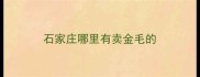 石家庄哪里有卖金毛的
