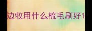 边牧用什么梳毛刷好