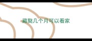 藏獒几个月可以看家