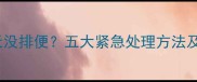 狗狗连续三天没排便五大紧急处理方法及健康隐患全