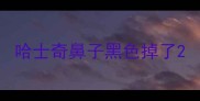 哈士奇鼻子黑色掉了