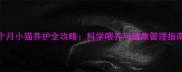 7个月小猫养护全攻略科学喂养与健康管理指南